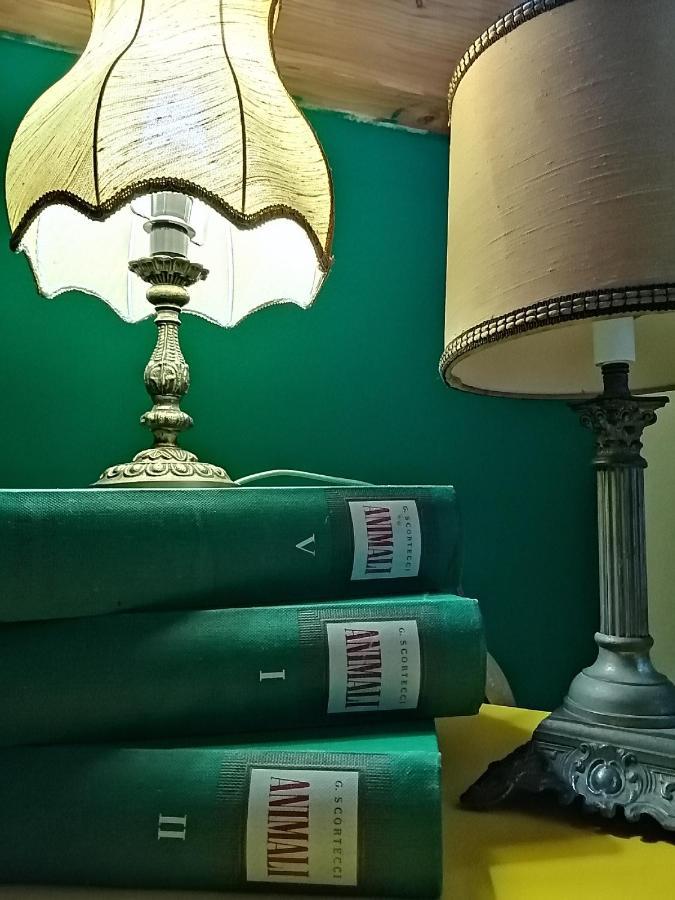 Auberge De La Gare - Dortoir & Ostello Hone Dış mekan fotoğraf